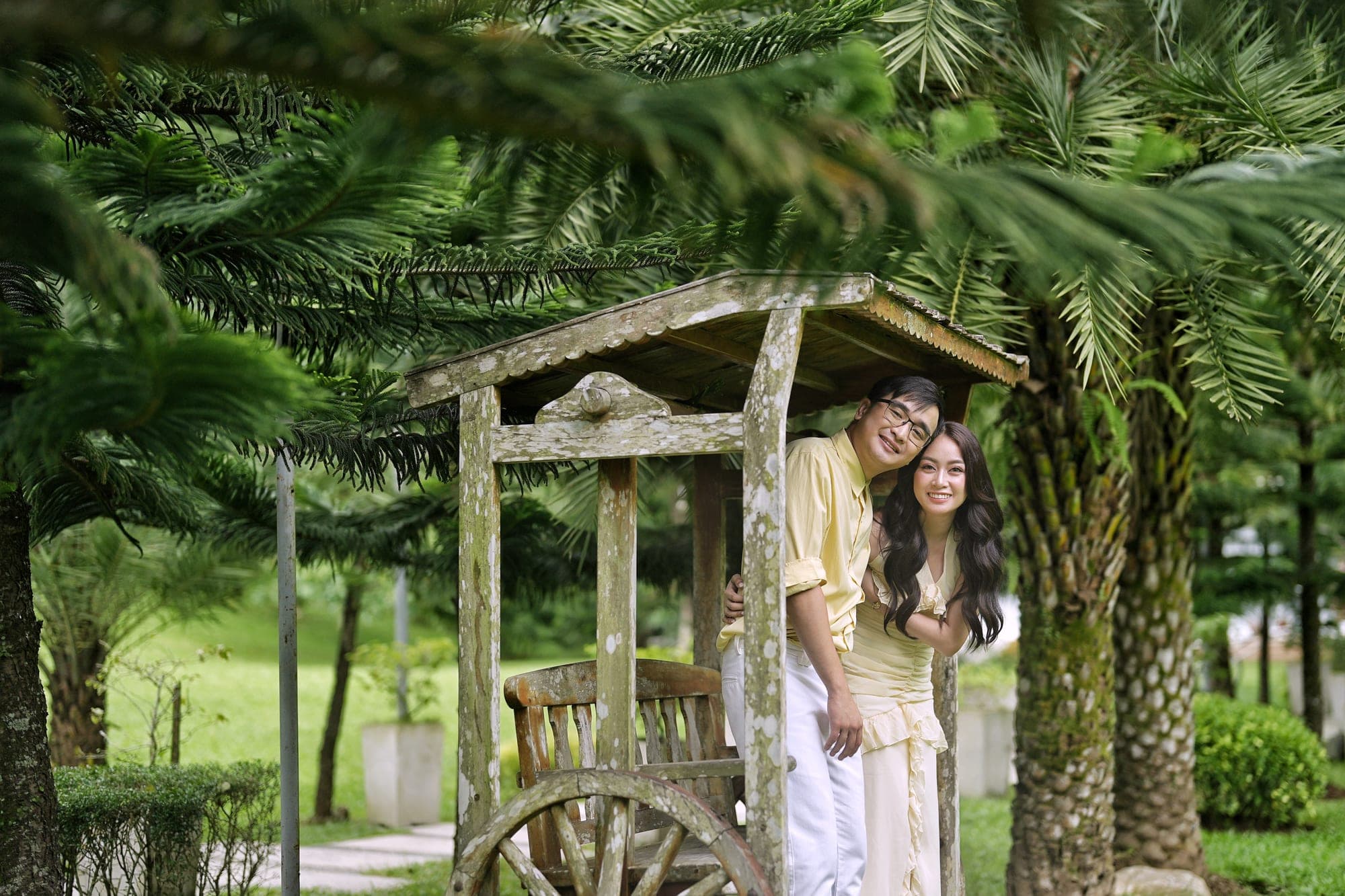 Justin and Lovely, both in pale yellow, peeking out together from a rustic wooden garden cart under pine branches
